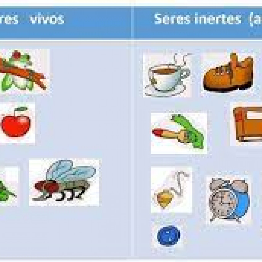 Seres Vivos E Inertes Pictoeduca