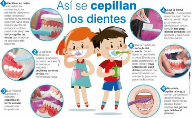 Como lavarse bien los dientes