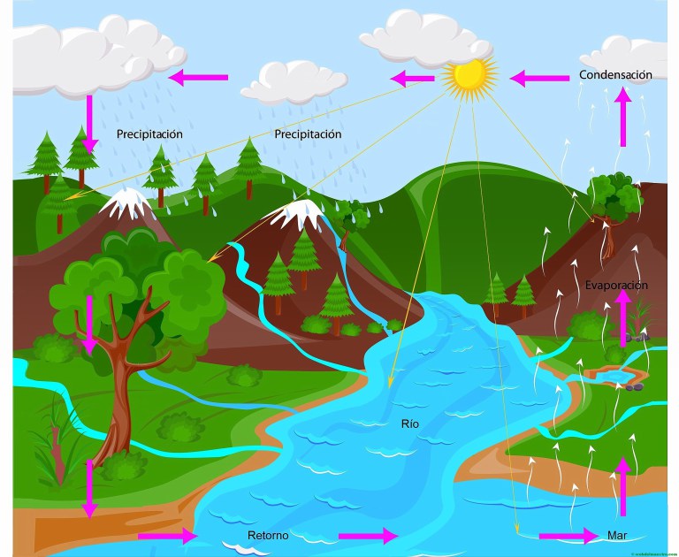 El Ciclo Del Agua Pictoeduca