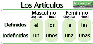 Resultado de imagen de articulos determinados