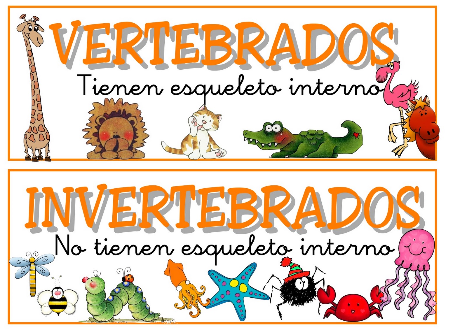 Animales Vertebrados e Invertebrados - Pictoeduca