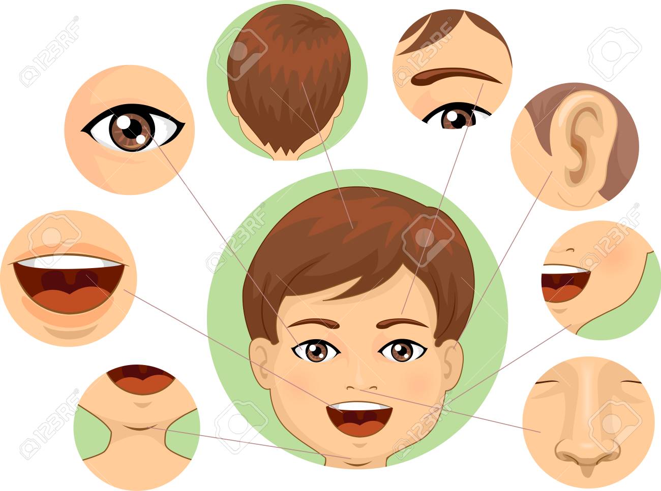 Las Partes De La Cara - Primer Grado : Material De Aprendizaje
