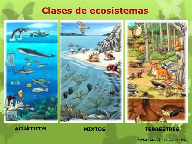 2 Los Ecosistemas Pictoeduca